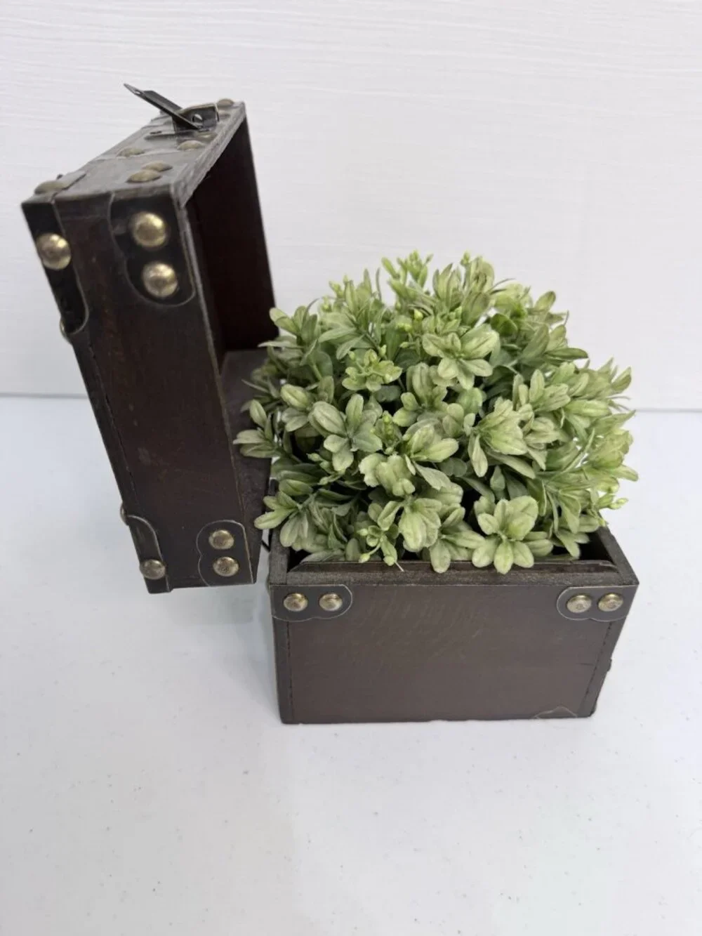 Wooden Storage Chest Box Decor with Greenery